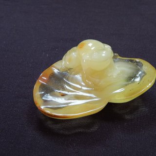 dscn3892