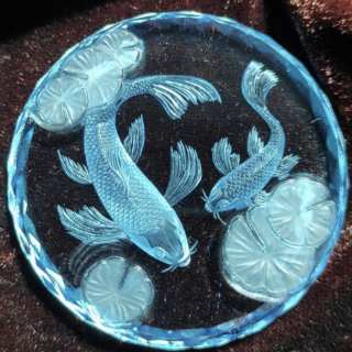 fish1