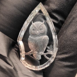 owl