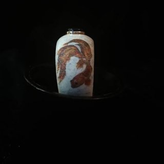 kolcoriba