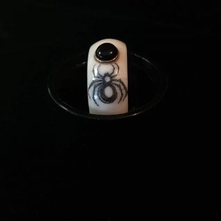 kolcospyder2