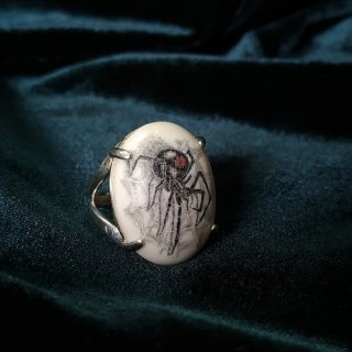 spiderkoltso